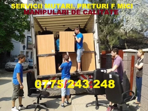 Transport - Mutări